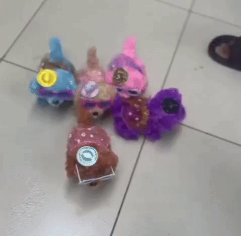 Dancing & Singing Puppy Toy