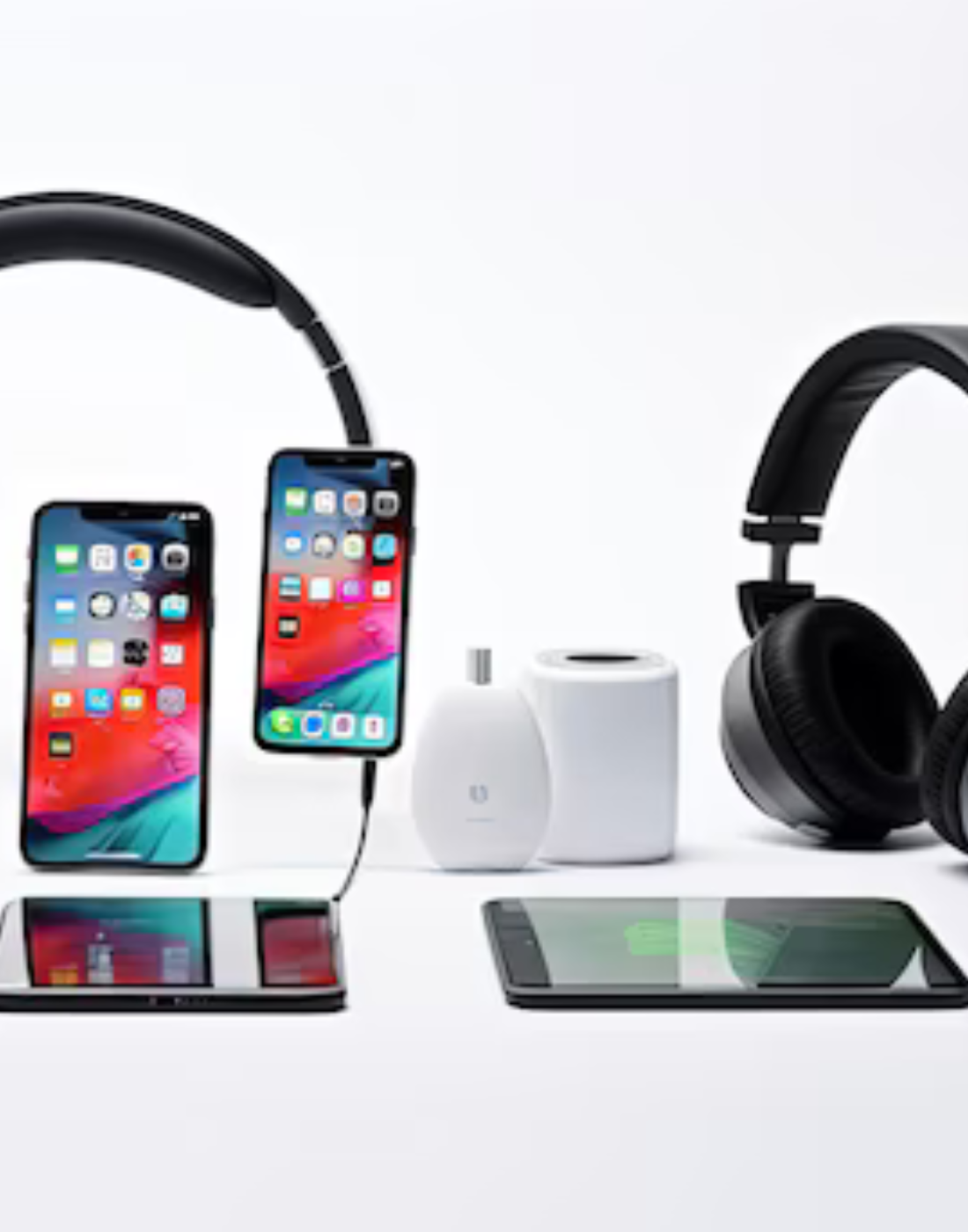 Explore Our Favourite Products